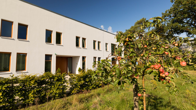 Blick auf Außenfassade des Albertinen Hospiz Norderstedt mit einem Apfelbaum, Hecke und Rasenfläche